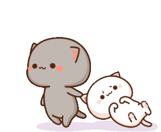 .tara.