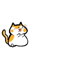 .pokuty.