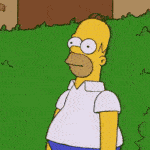 .homer.