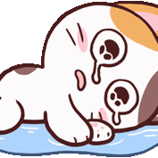 .cryak.